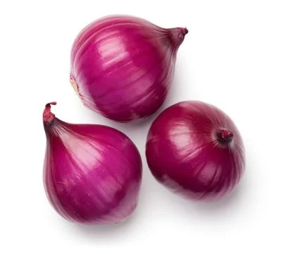 Red Onions Isolated on White Background Stock Photos