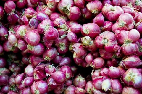 Red onions Stock Photos