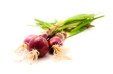 Red onions Stock Photos
