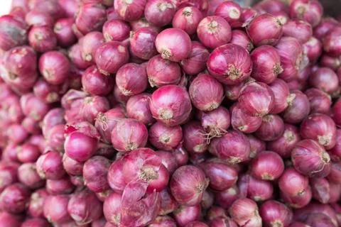 Red onions Foto stock