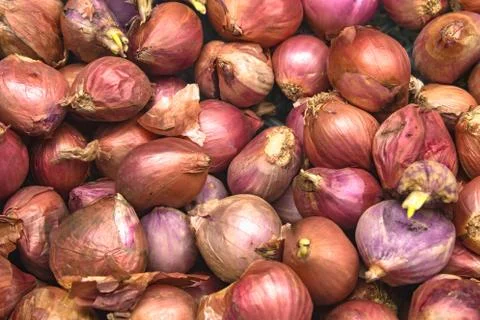 Red onions Stock Photos