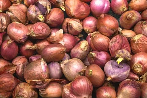 Red onions Stock Photos