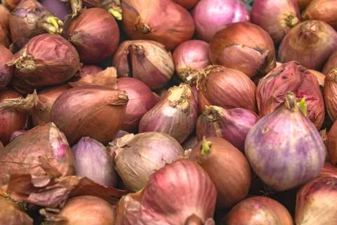 Red onions Stock Photos