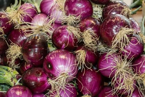 Red Onions Stock Photos