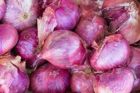 Red onions Stock Photos