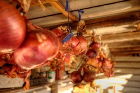 Red Onions Stock Photos
