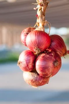 Red onions Stock-Fotos