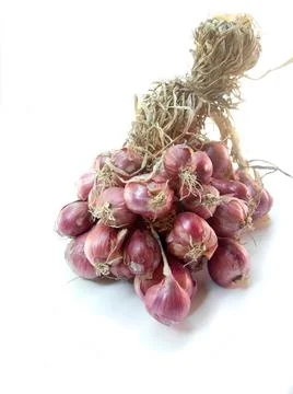 Red onions 写真素材