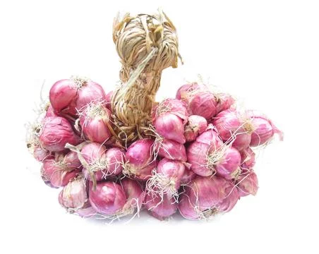 Red onions 写真素材