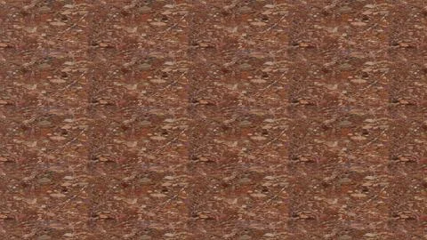 Red Onyx A9F9D10A Foto stock