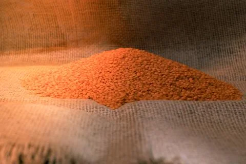 Red or orange lentils stack on brown burlap background. Stock Photos