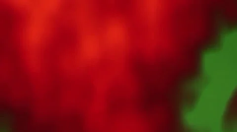 Red orange and green fire Stock Footage 26835302