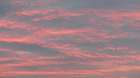 Red orange clouds with bird in the morning sky at sunrise - 4k Real Time Video Stock Footage 138865962