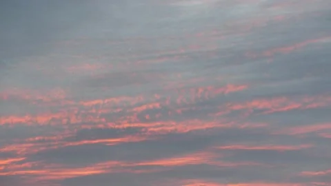 Red orange clouds in the morning sky at sunrise - flying seagull - Real Time Stock Footage 138871239