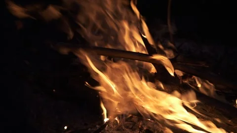 Red-orange flames of a burning fire. Stock Footage 130445268