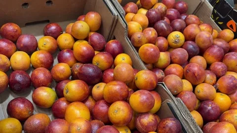 Red orange Stock Footage 275795283