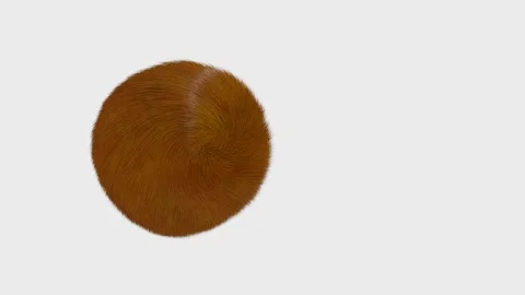 The red-orange long-piled sphere spins and rolls from left to right. animated ab Stock Footage 166145201