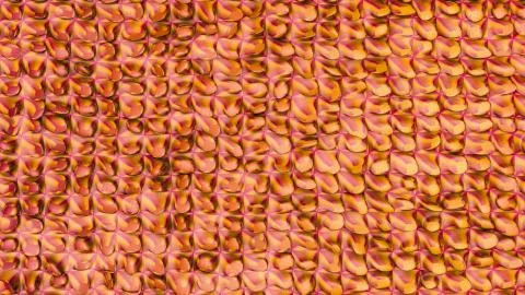 Red orange low polygonal. 3D rendering 库存插图
