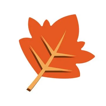 Red orange oak leaf with veins. Vector 스톡 일러스트
