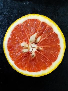 Red orange Stock Photos