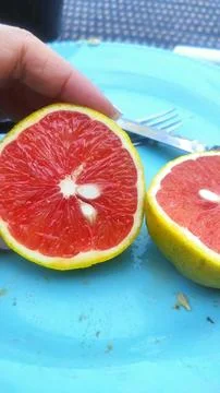 Red orange Fotos de archivo