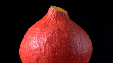 Red-orange pumpkin on black background Stock Footage 161982038