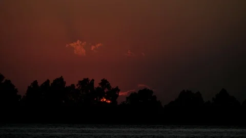 Red orange sun hiding behind the silhouette of tropical tree Stock Footage 121652491