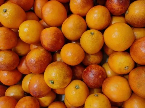 Red oranges on the counter of a  store Stock Photos