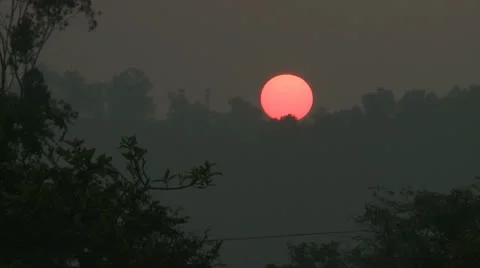 Red orb sun sets behind trees Video stock 10806600