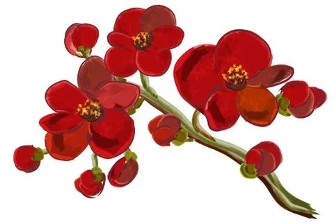 Red orchid brunch Stock Illustration