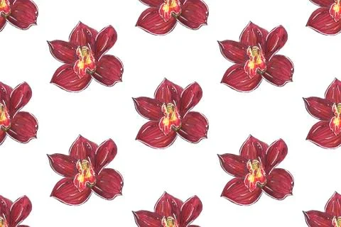 Red Orchid. Flowers seamless pattern isolated on white background. Stock Illustration