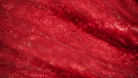 Red organic object. Close up view under the microscope Stock Footage 300184885