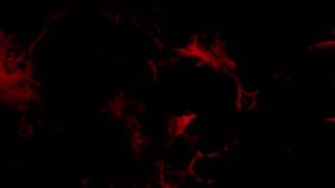 Red Paint Abstract Animated Motion Graphics Stock Footage 157836515