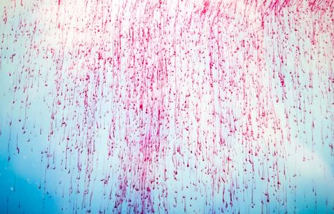 Red paint dissolves in liquid, process Stock Photos
