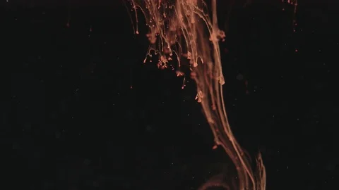 Red paint drops in the water 스톡 동영상 70968368