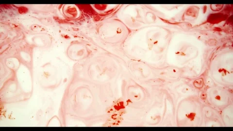 Red paint mixing with white liquid forming organic bubbles Video stock 329754278