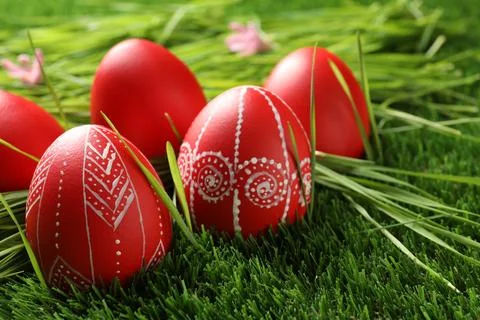 Red painted Easter eggs on green grass Stock Photos