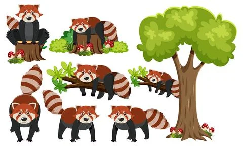 Red Panda on Branch with Tree Elements Illustrazione stock