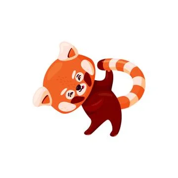 Red panda doing yoga. Cute baby red panda stretching out isolated in white Illustrazione stock