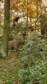 Red panda exploring lush green foliage in the forest. Vertical mobile photo Stock Photos