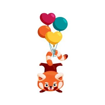 Red panda handstand. Red panda with balloons on its tail. Colorful vector Illustrazione stock