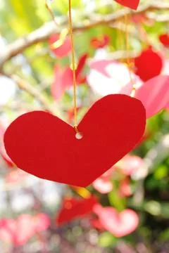 Red paper hearts on tree. Stock Photos