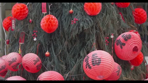 Red Paper Lanterns with Chinese Characters Hanging on Tree Stock Footage 328549064