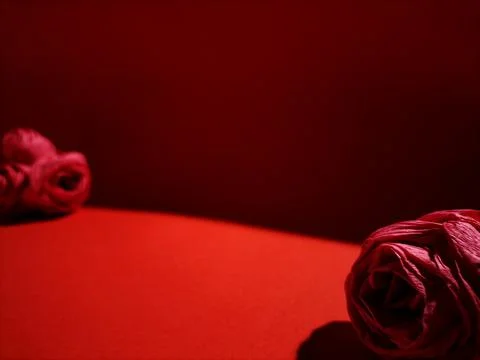 Red paper roses Stock Photos