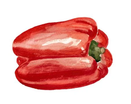 Red paprika Stock Illustration