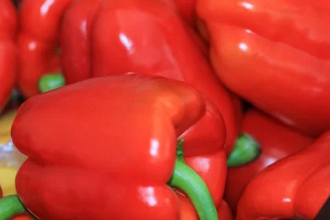 Red Paprika 스톡 사진