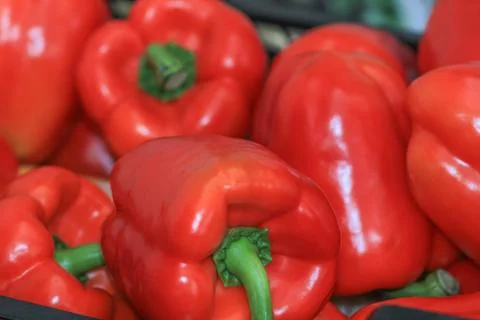 Red Paprika 스톡 사진
