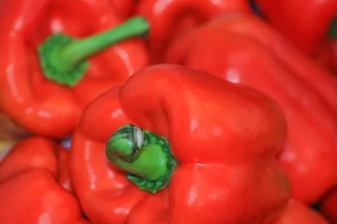 Red Paprika Foto stock