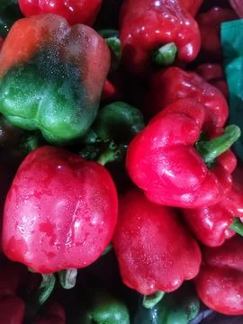 Red paprika Stock Photos