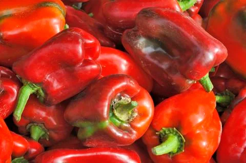 Red paprikas Stock Photos